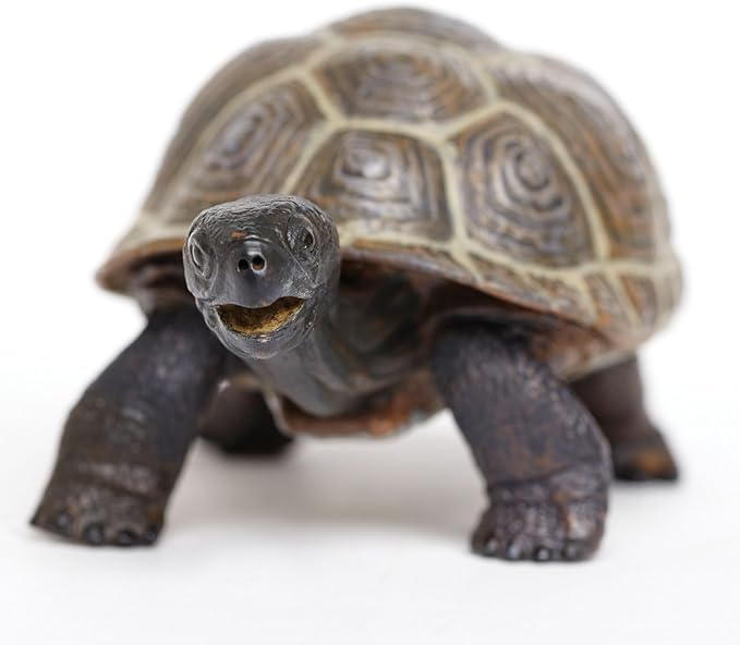 Safari Ltd. Tortoise Baby Figurine - Detailed 5.5" Plastic Model Figure - Fun Educational Play Toy for Boys, Girls & Kids Ages 18M+