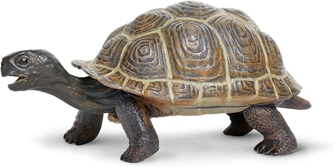Safari Ltd. Tortoise Baby Figurine - Detailed 5.5" Plastic Model Figure - Fun Educational Play Toy for Boys, Girls & Kids Ages 18M+