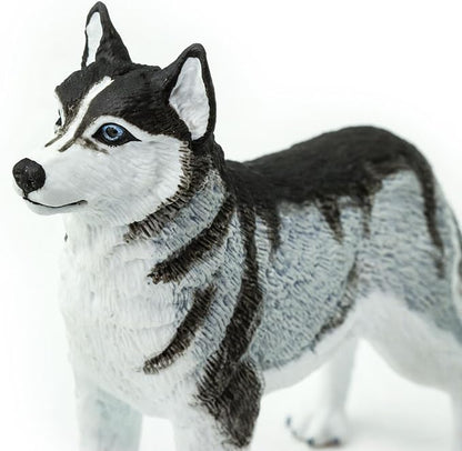 Safari Ltd. Siberian Husky Figurine - Detailed 3.25" Plastic Model Figure - Fun Educational Play Toy for Boys, Girls & Kids Ages 3+