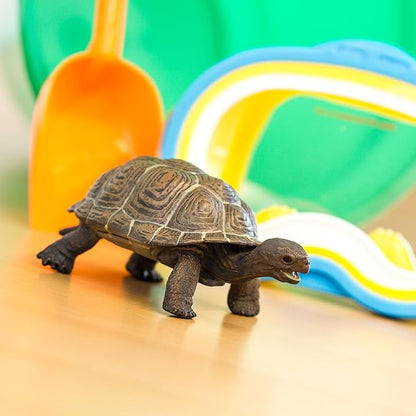 Safari Ltd. Tortoise Baby Figurine - Detailed 5.5" Plastic Model Figure - Fun Educational Play Toy for Boys, Girls & Kids Ages 18M+