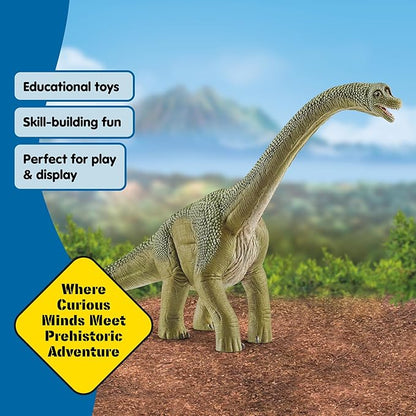 Schleich Dinosaurs - 9.5" Brachiosaurus - Realistic, Durable Green Dinosaur Toy - Educational Fun Long Neck Dino Figurine for Boys and Girls - Montessori Figures for Kids Ages 4+ | 14581