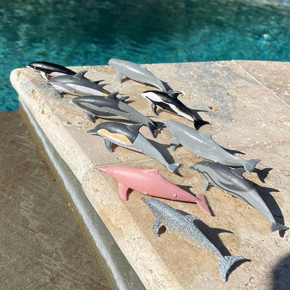Safari Ltd. Dolphin TOOB - 10 Miniature Dolphin Figurines - Educational Toy Set for Boys, Girls and Kids Ages 3+