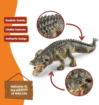 Schleich Wild Life Realistic Alligator Figurine with Movable Jaw - Detailed Alligator Toy Figure, Durable for Education and Fun Play, Perfect for Boys and Girls, Gift for Kids Ages 3+